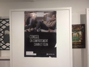 salon bien être canin