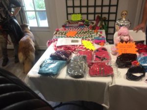 salon bien être canin
