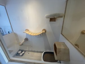 Pension féline, hotel pour chats 2025, oise, crouy en thelle