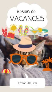 erreur 404, pension féline, pension chats , garde chats, 2025, oise, crouy en thelle