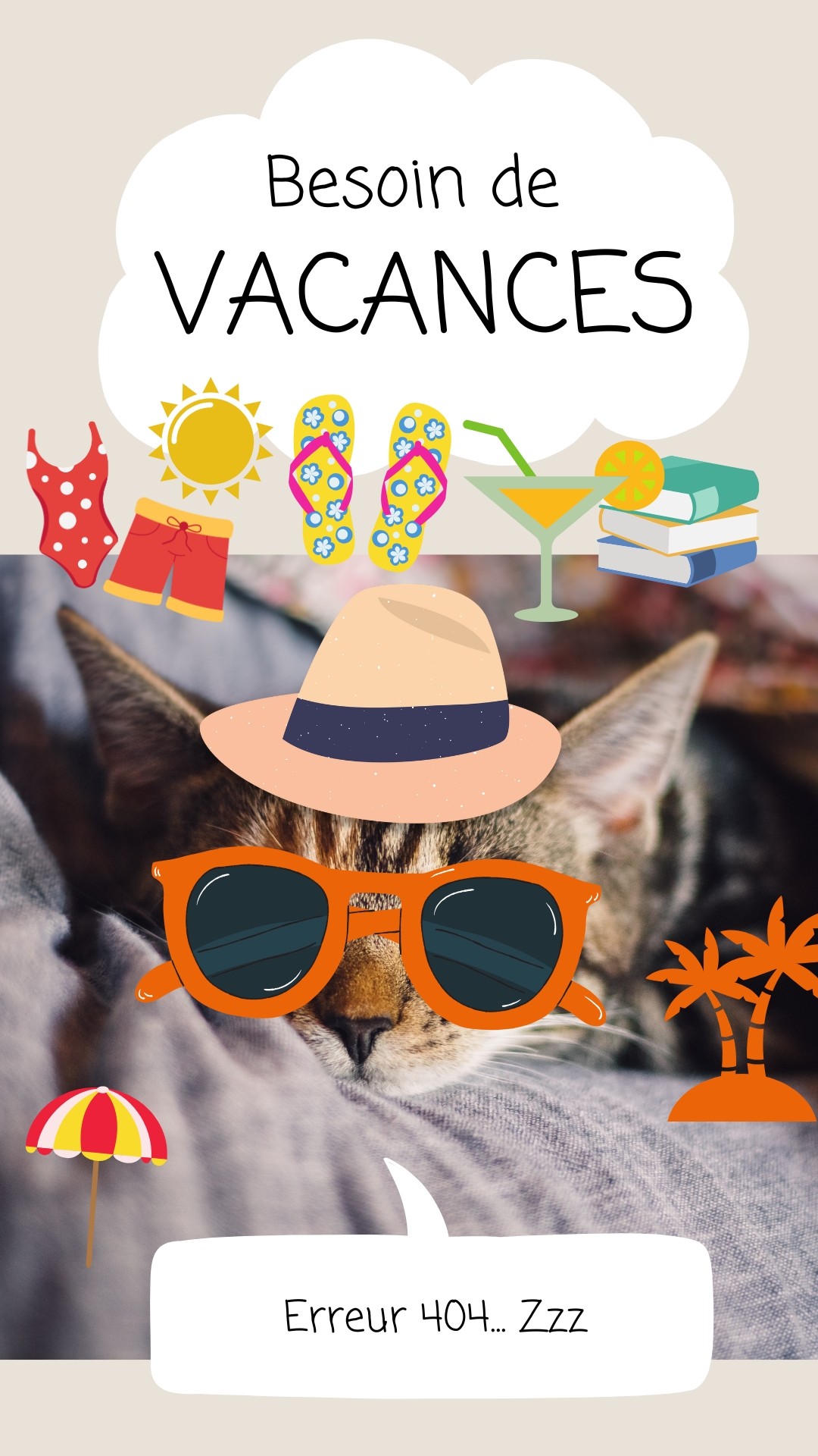 erreur 404, pension féline, pension chats , garde chats, 2025, oise, crouy en thelle