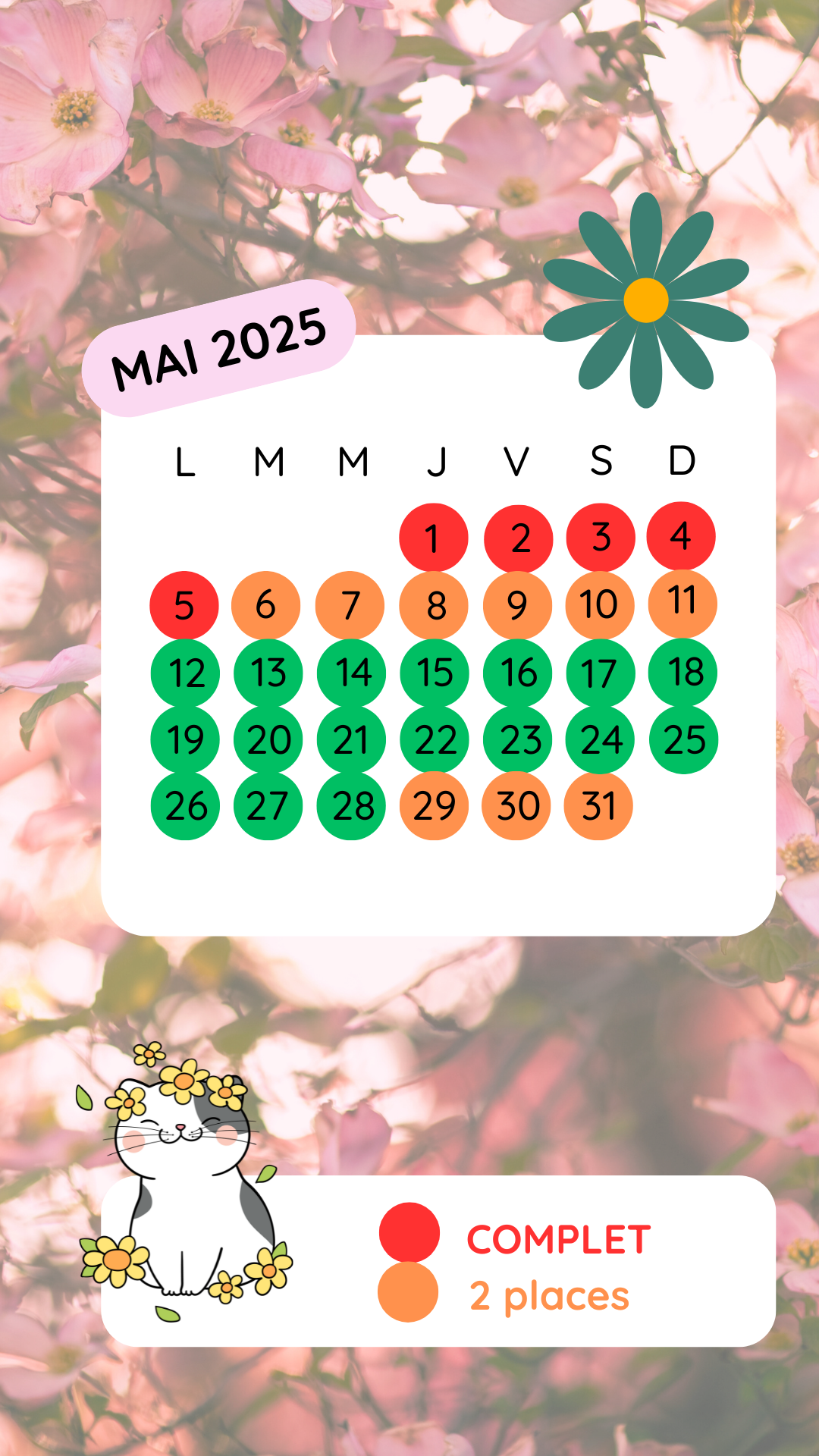 Mai 2025 Planning disponibilités Mai 2025 pension féline ***