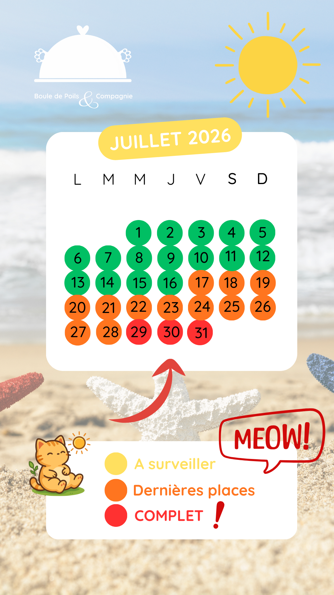 planning juillet 2026