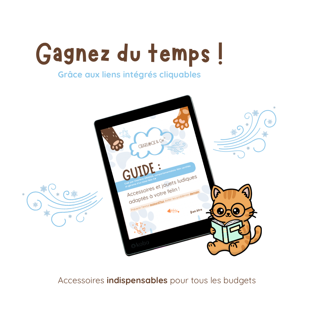 Miniature guide Pratique chats