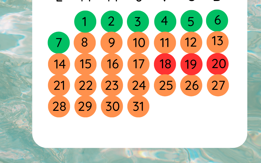Planning Juillet 2025