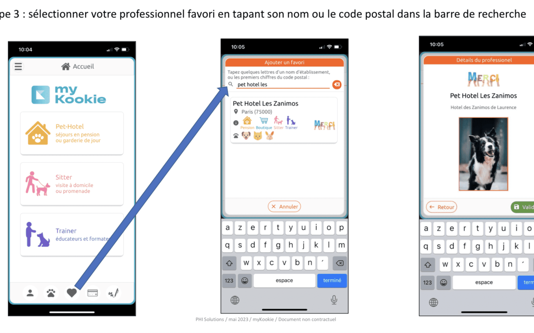 Recherchez via la barre de recherche « Boule de poils »